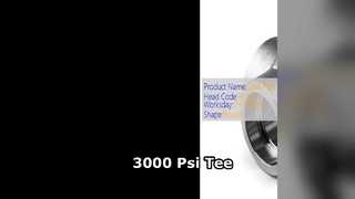 Industriale ad alta pressione a T di riduzione da 3000 Psi