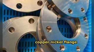 Flange di rame del nichel