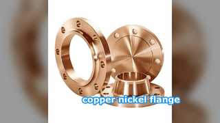 Flange in rame-nichel: resistenza superiore alla corrosione dell'acqua di mare per tubazioni marine