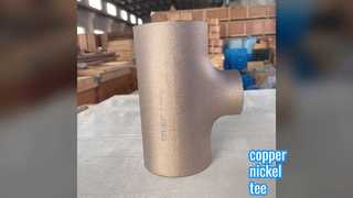 T in rame-nichel: resistenza alla corrosione superiore per connessioni di derivazione marina