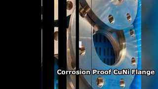 Uso chimico della flangia CuNi 70/30