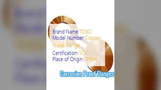 Flange per occhiali Rame Nichel 90/10 forgiato