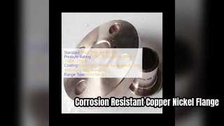 Soluzione resistente alla corrosione con flangia in rame-nichel durevole