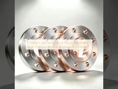Soluzione marina ad alta pressione con flangia Weld Neck C70600 CuNi
