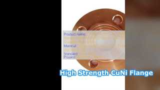 C71500 Flangia 70 30 CuNi WNRF Classe 1500 ad alta resistenza