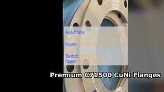C71500 CuNi 70 30 Flangia con collo saldato Qualità forgiata premium