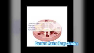 Soluzione di grado marino con flangia a saldare CuNi 70 30