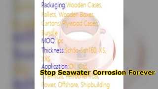 CuNi 90 10 Soluzione anticorrosione con acqua di mare per flange con collo saldato