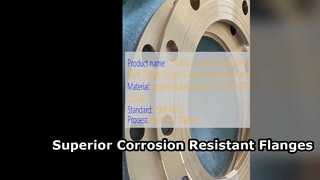 C71500 Soluzione ad alta resistenza con flangia Weld Neck CuNi 70 30