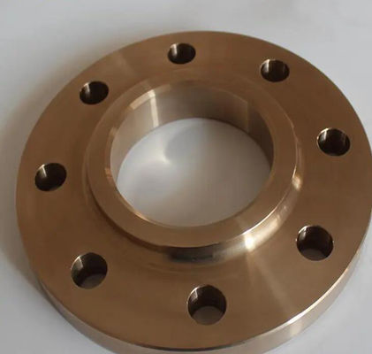 Scheda 40 Pipe Fitting Flange Plate Flat Weld Copper Nickel Flange Forged Fange