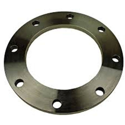 Fittings in metallo inossidabile CL1500 24 pollici STD piastra di saldatura flange in acciaio forgiato